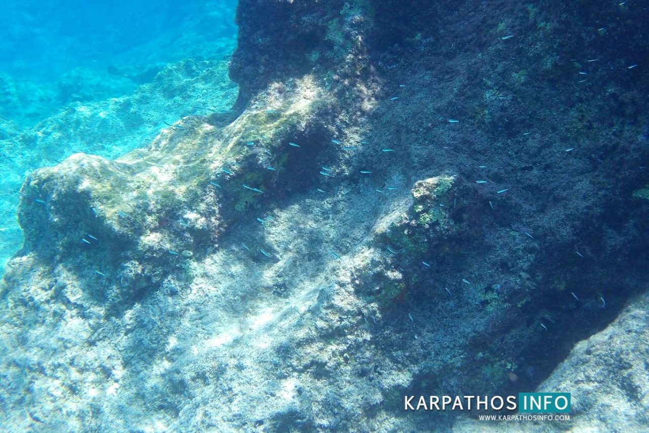 Dive, Snorkel in Karpathos island Greece